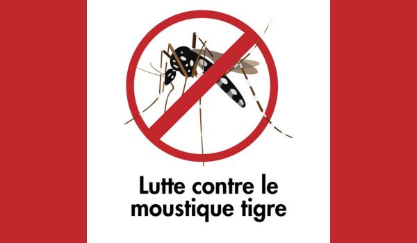 Lutte contre les moustiques tigres
